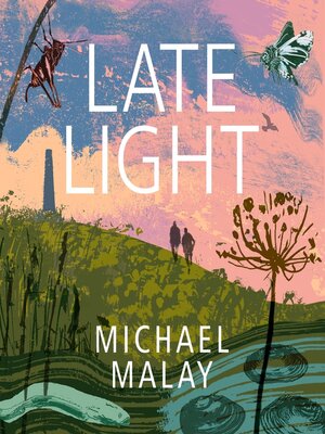 cover image of Late Light